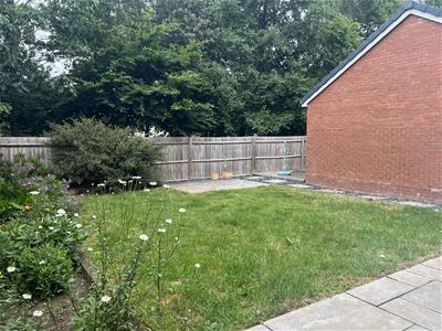 Picture 13